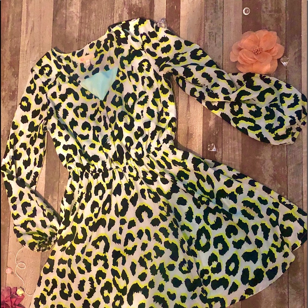 Gianni Bini Leopard print dress🐯🦋